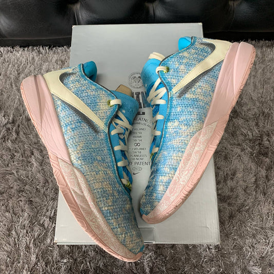 Lebron 20 All Star size 11 used