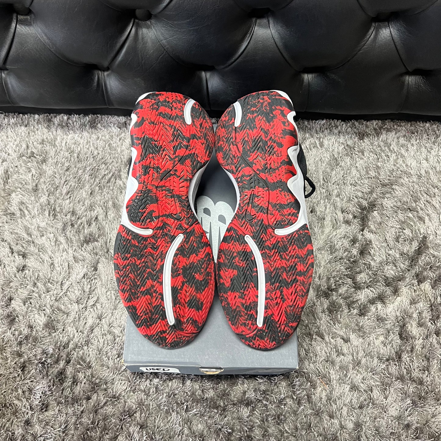 Giannis Immortality 2 Bred size 10 used