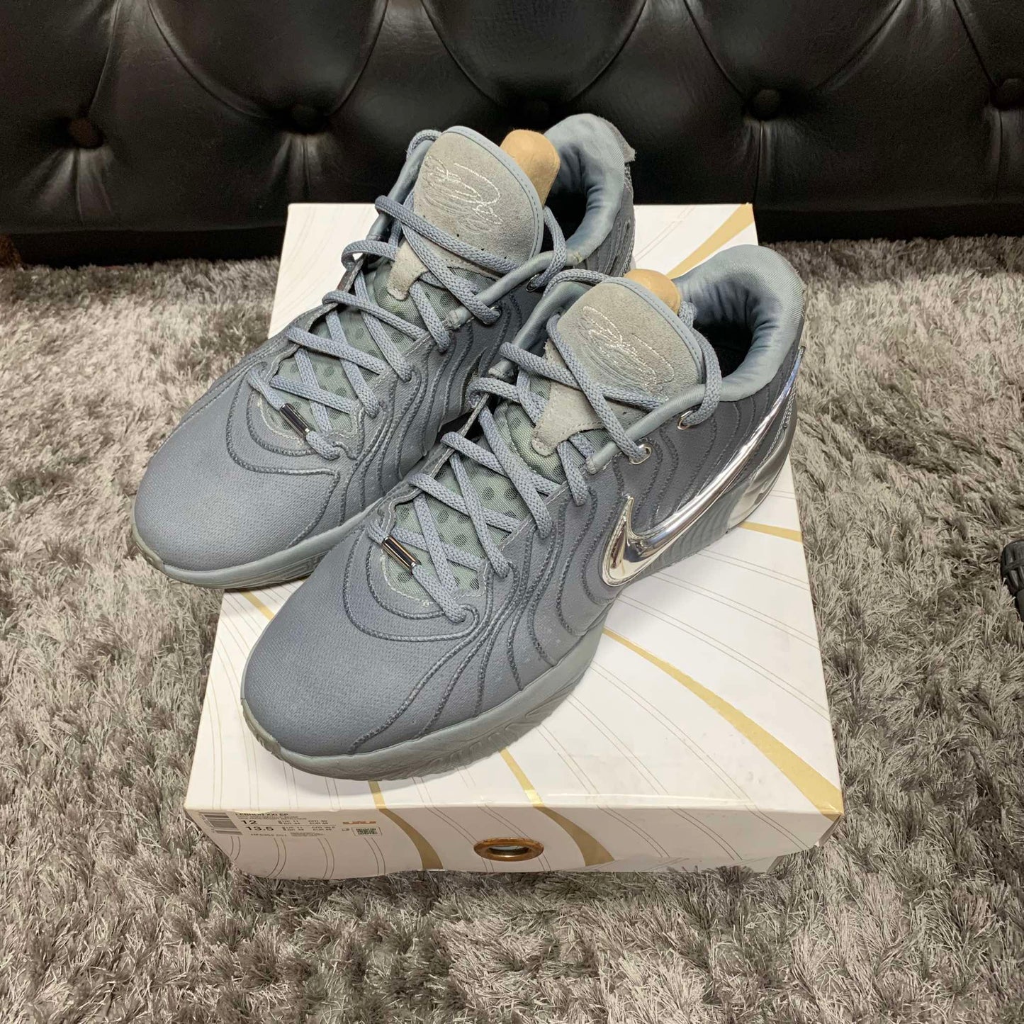 Lebron 21 Cool Grey size 12 used