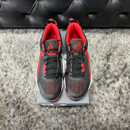 Giannis Immortality 2 Bred size 10 used