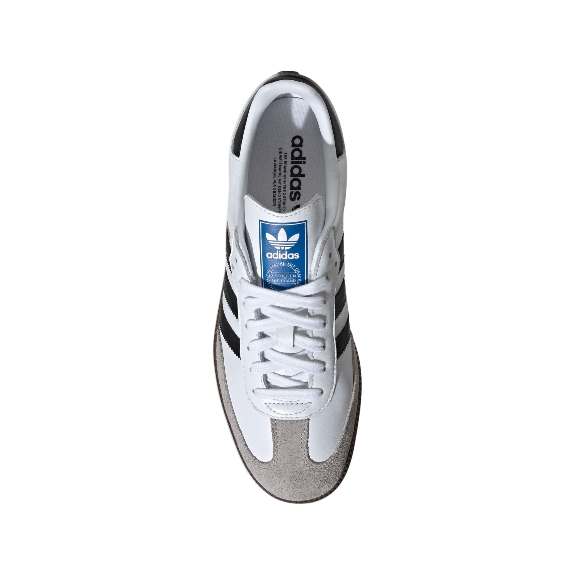 Adidas Samba OG Cloud White B75806 Top View